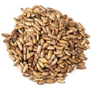 Milk thistle seed, whole Organic 