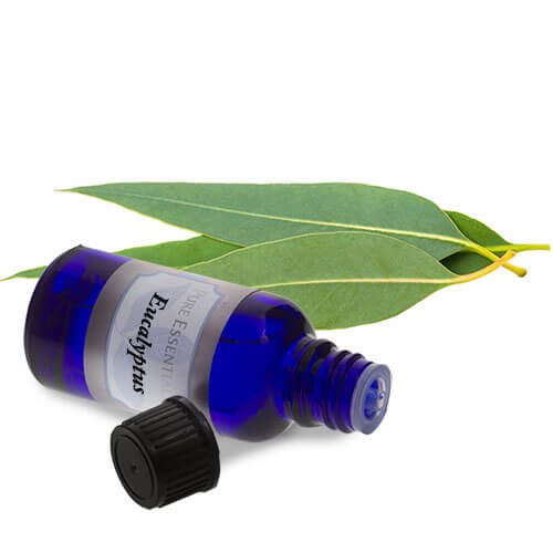 Eucalyptus, essential oil