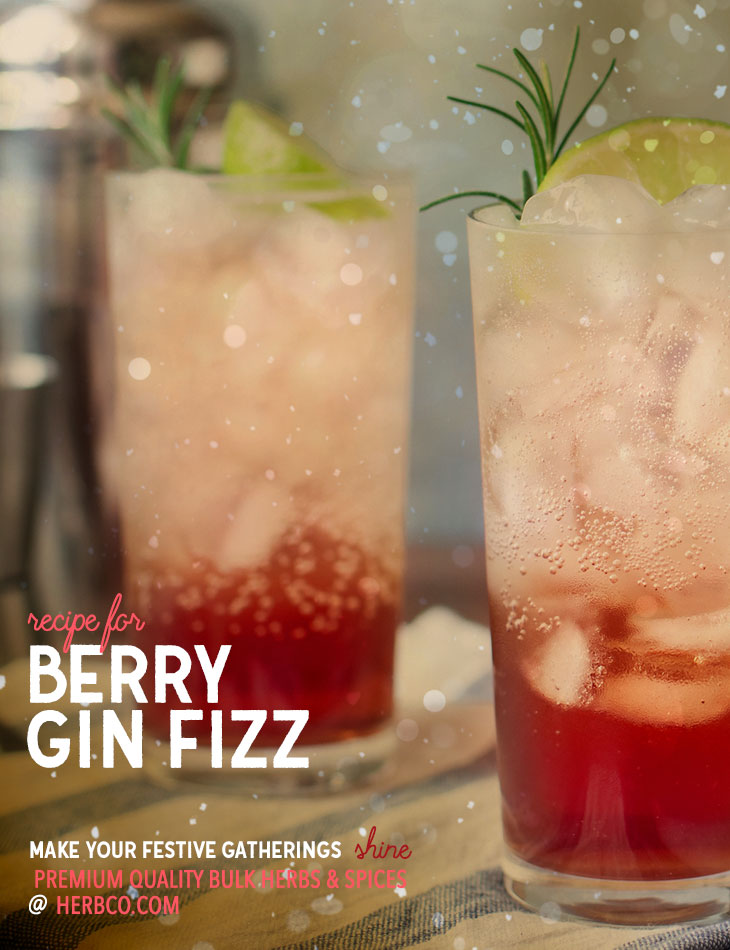 [ Recipe: Berry Gin Fizz ]