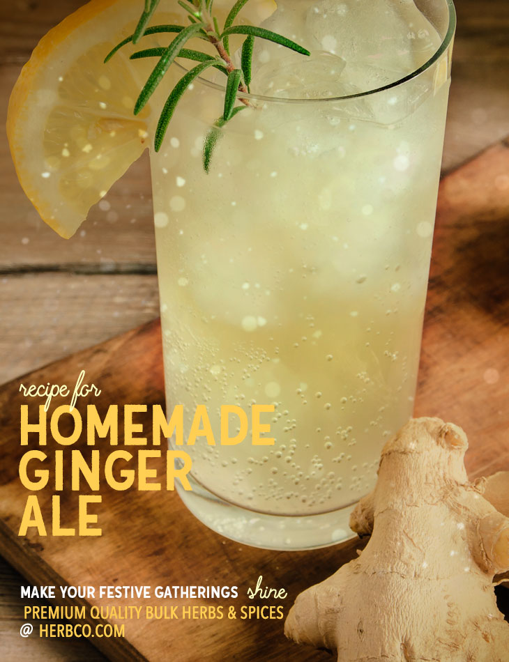 [ Recipe: Homemade Ginger Ale ]