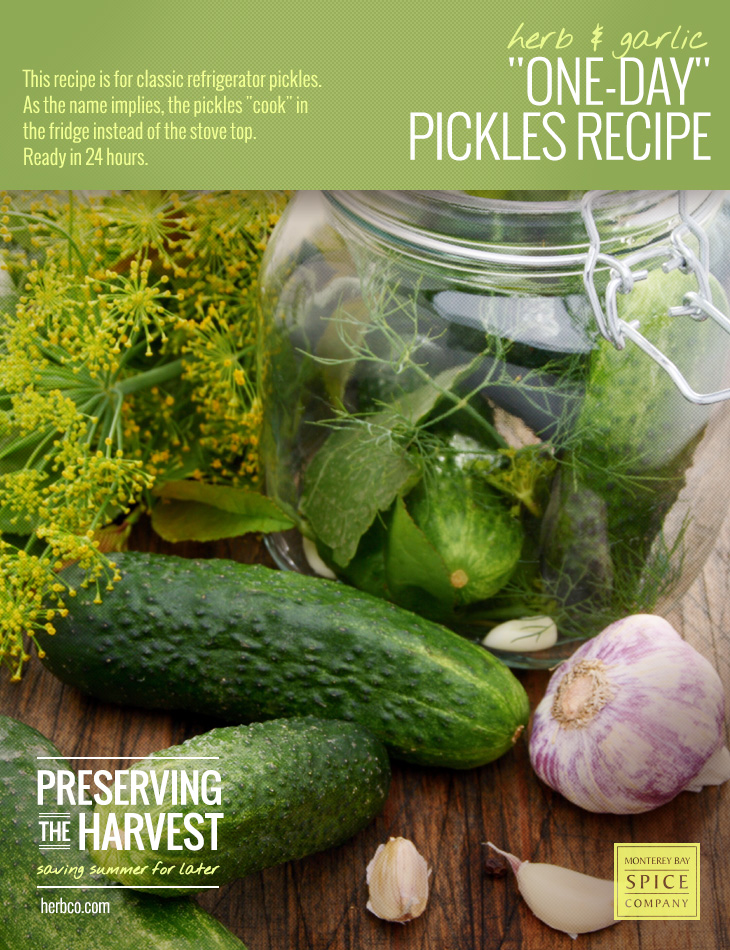 [ Recipe: Herb and Garlic One-Day Pickles ] ~ from Monterey Bay Herb Co