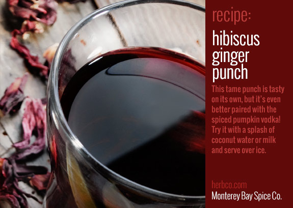 Hibiscus Ginger Punch Recipe