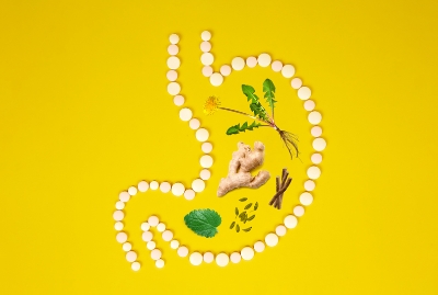 Herbs for Better Gut Health and Digestion