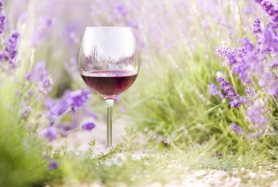 The History and Wellness Benefits of Herbal Wine