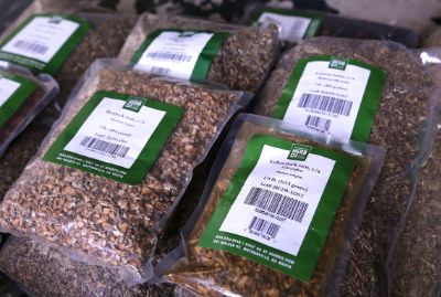 How to Store Herbs & Spices for Freshness & Long Shelf Life