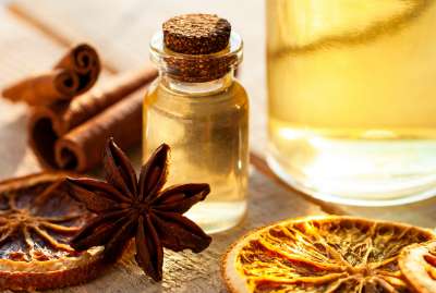 Seasonal Herbs for Fall & Winter Wellness, Flavor & More