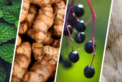 Top 10 Botanicals Driving the Nutraceutical Boom
