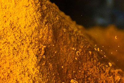 Turmeric - The Golden Spice