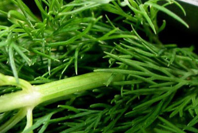Make A Summer Salad Splash: Salad Making Tips  & Summer Salad Recipes