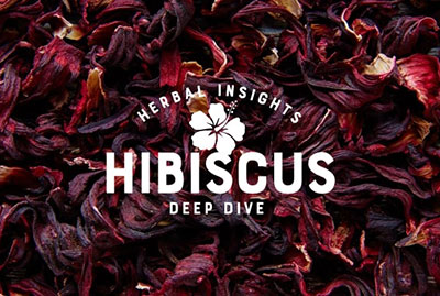 Herbal Insights Deep Dive