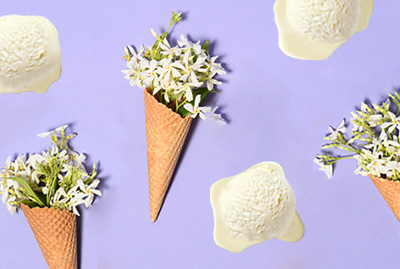 Jasmine Flower Ice Cream