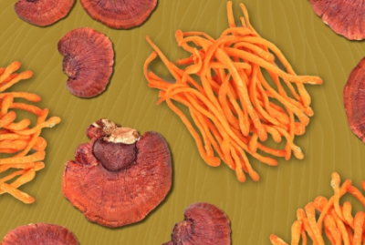 Adaptogens