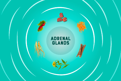 Adaptogens
