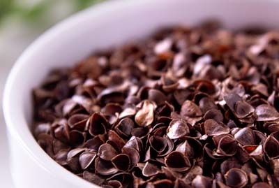 Buckwheat