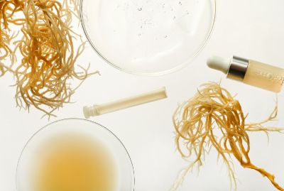 Irish Sea Moss Benefits in Hair and Skincare