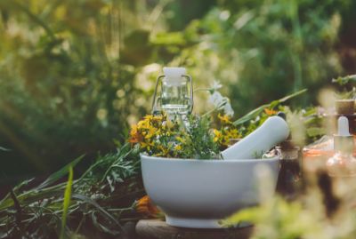 Supporting the Herbal Community: American Herbalists Guild Symposium