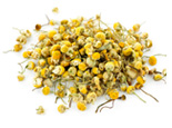Chamomile