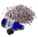 Lavender Essential Oil