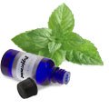 Peppermint Essential Oil