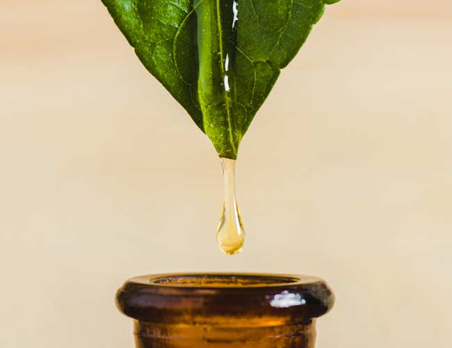 on stop botanical resource