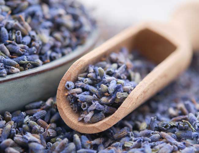 Skincare & Beauty herbal samples