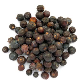 Juniper Berry